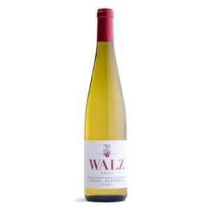 Heitersheimer Maltersergarten Gutedel Bildstöckle trocken Weingut Walz Heitersheim