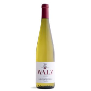 Zunzinger Rosenberg Grauer Burgunder trocken Weingut Walz Heitersheim 2017
