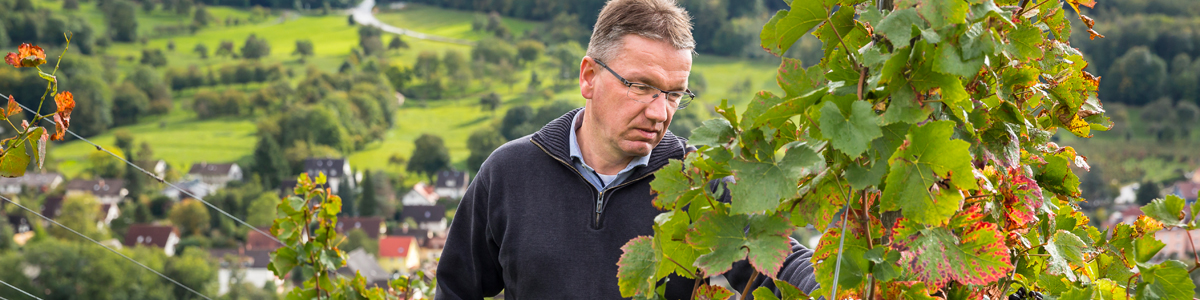 Thomas Walz - Weingut Josef Walz - Heitersheim