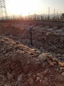 Foto Reben pflanzen im Weingut Josef Walz Heitersheim - Markgräflerland