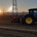 Foto Reben pflanzen im Weingut Josef Walz Heitersheim - Markgräflerland