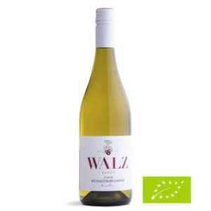 Weisser-Burgunder-trocken-2019-Biowein-Weingut-Walz-Heitersheim