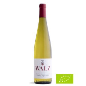 Zunzinger-Rosenberg-Grauer-Burgunder-trocken-2019-Biowein-Weingut-Josef-Walz-Heitersheim