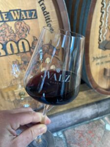 Foto: Ein Achtel Wein - Weingut Josef Walz - Heitersheim -Markgräflerland
